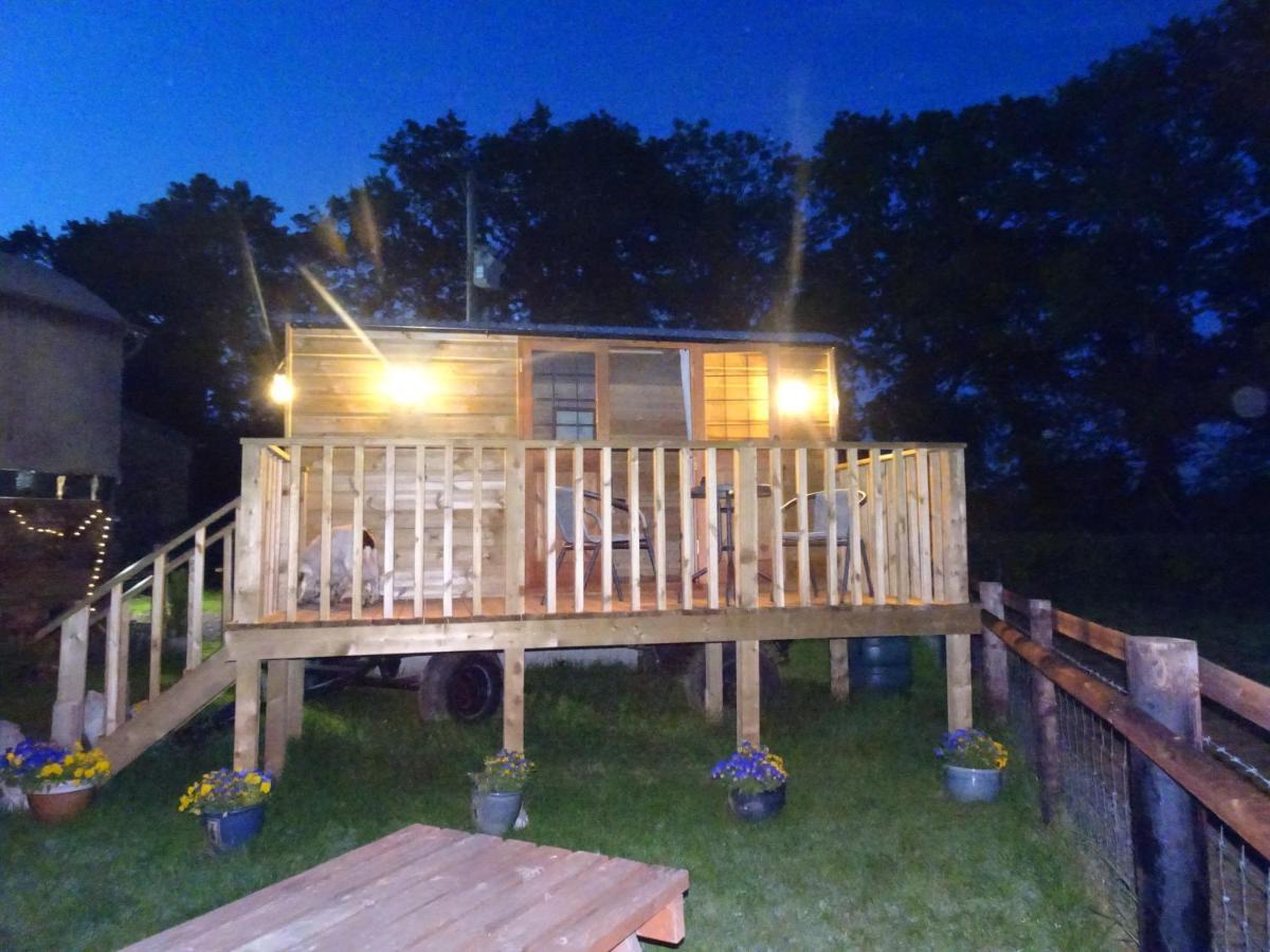 The Lazy Shepherd East Pennard Exterior photo