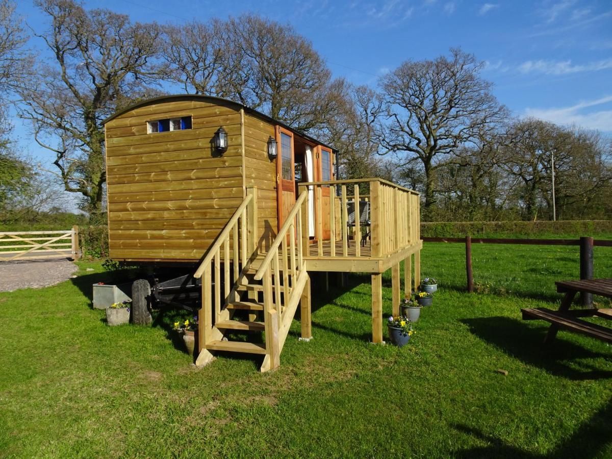 The Lazy Shepherd East Pennard Exterior photo