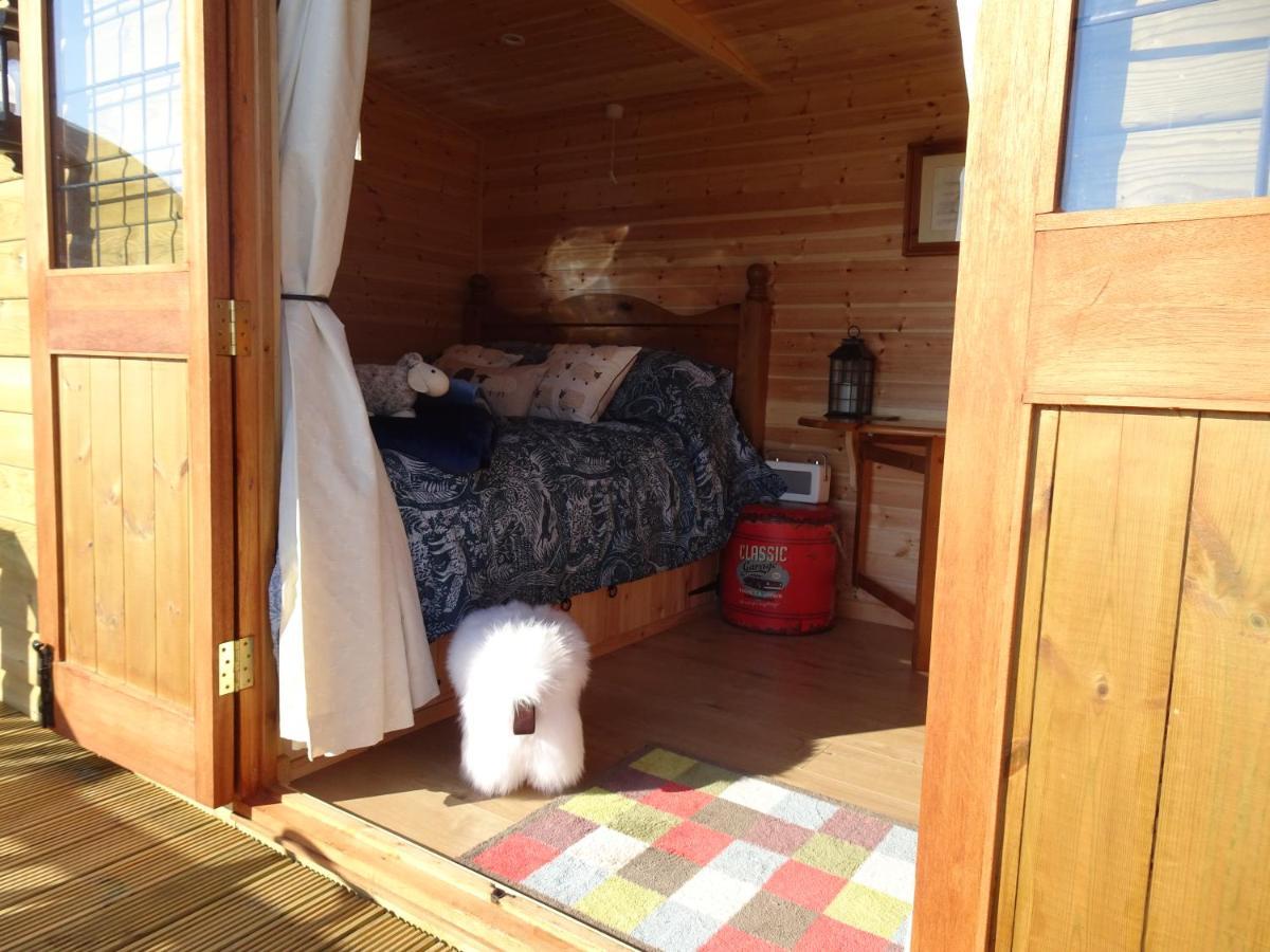 The Lazy Shepherd East Pennard Exterior photo