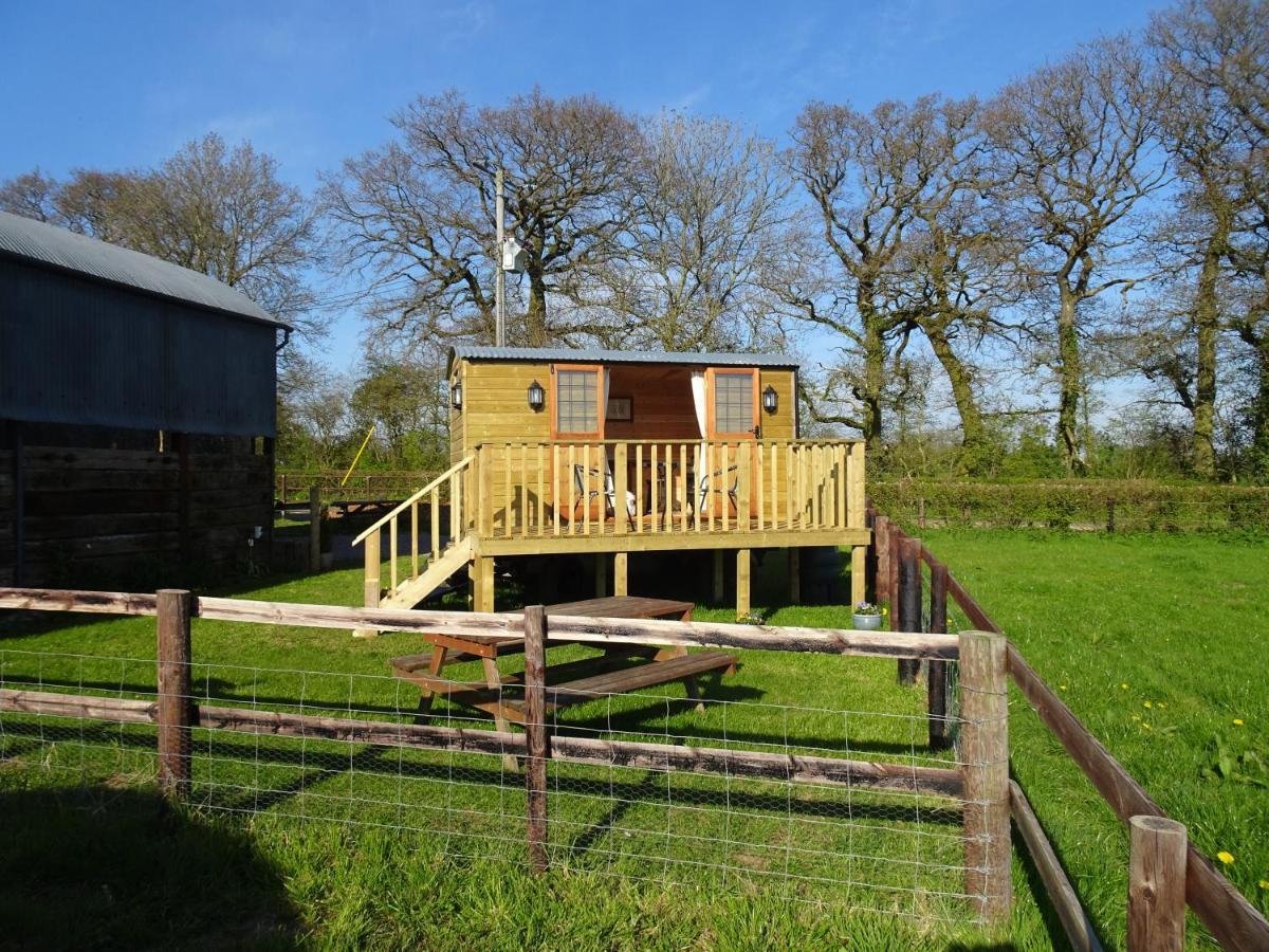 The Lazy Shepherd East Pennard Exterior photo